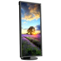 Монитор NEC MultiSync EA294WMi фото 2